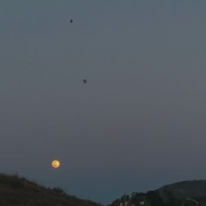 Meet your Posher, Alyssandra